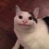 MaSpi's profile picture