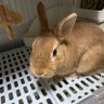 しーさ 的头像
