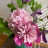 真井花 profil fotoğrafı