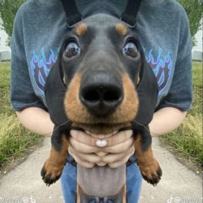 뚄's profile picture