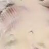 Profilbild von yasu