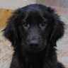 Bella Hobbs #DoNotComply. Be on the side of PEACE.'s profile picture