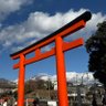 Profilbild von 国防🇯🇵会計士