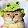 XOXOXO111111's profile picture