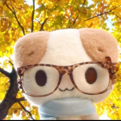 讨厌睡觉💤's profile picture