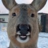 Profilbild von zach