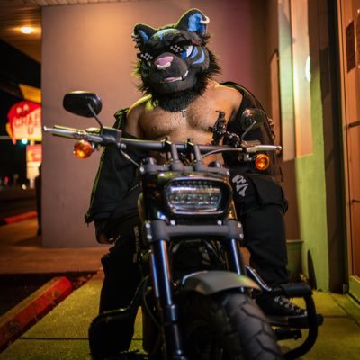 Mojomadness1's profile picture