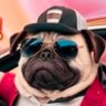 Genghis Dong profil fotoğrafı