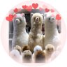 Profilbild von ♡とみい(*˘︶˘*).。.:*♡