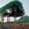 Profilbild von बात मुद्दे की....