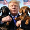 Profilbild von D-MAGA-Dachshund 🇺🇸