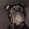 Profilbild von Black Dynamite