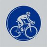 The Road Captain - Cycling Channel's profile picture