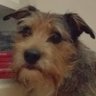 Profilbild von JaNe 🪫(windows11 hate acc)