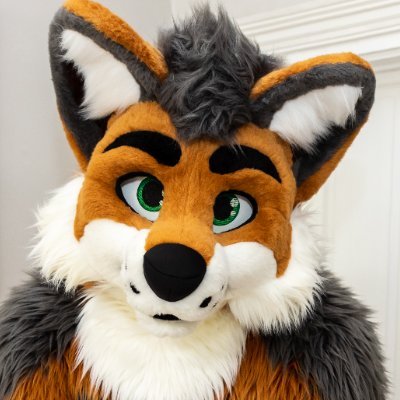 Cormack's profile picture