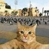 Profilbild von متابع بصمت