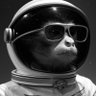 Фото профиля moonkey