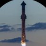 Elon musk profil fotoğrafı