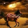 Profilbild von Settle_for_truth