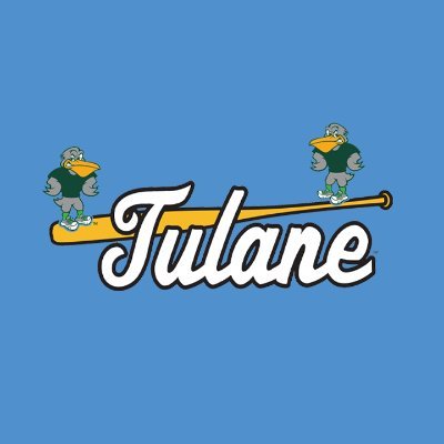GreenWaveBSB's profile picture