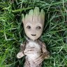 Фото профиля Baby Groot