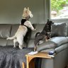 Stu b profil fotoğrafı