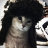 Profilbild von Lilit в раздумьях