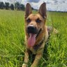 Ute Grobe's profile picture