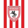 Samsunspor Sevdalısı ❤️🤍's profile picture