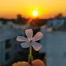 Фото профиля يعقوب الشيخ