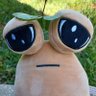 Profilbild von silly_vibes