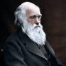 Фото профиля Darwin