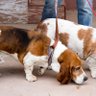 bbbassets profil fotoğrafı