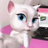 Wow's profile picture