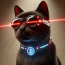 CatPitalist's profile picture