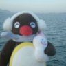 Profilbild von minji