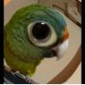 Perico sin masa's profile picture