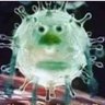 majbugman profil fotoğrafı