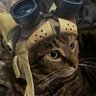 Profilbild von big munchy (monster hunter hypeman)