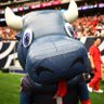 Фото профиля Inflata-BULL 🐃