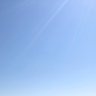 yuzu profil fotoğrafı