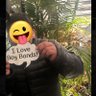 felipe pancho villa hernando Cortez jr's profile picture