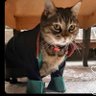 avucat 的头像