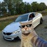 Ahmad's profile picture