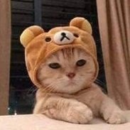 yuuna_luna's profile picture