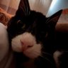 m profil fotoğrafı