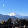 えんまるI7 的头像