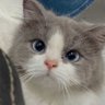 Naki profil fotoğrafı