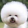 こやつ's profile picture