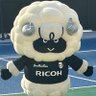 まめ's profile picture